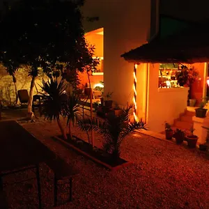 Auberge de jeunesse Trip'n'hostel 